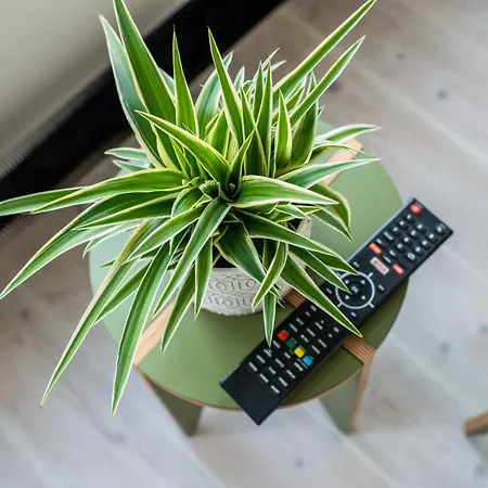 Prinsengracht Canal 3* Amsterdam