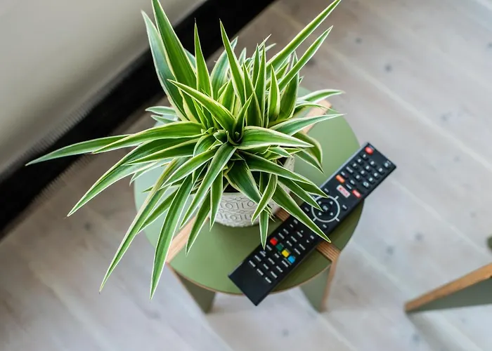 Prinsengracht Canal 3* Amsterdam